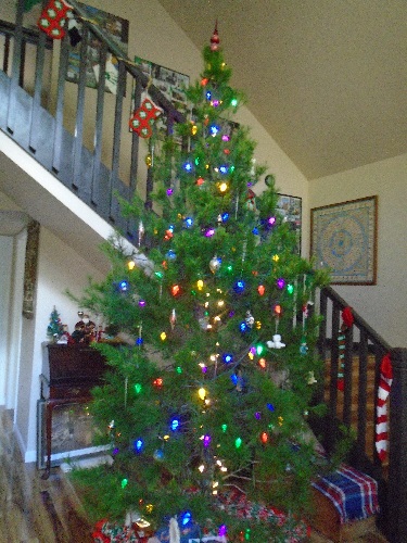 2020 Christmas tree