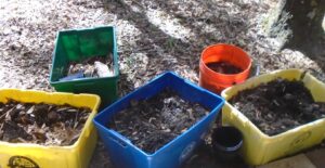 Boxes of potting soil