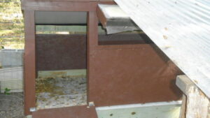 door of duckhouse