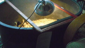 tub and heatlamp