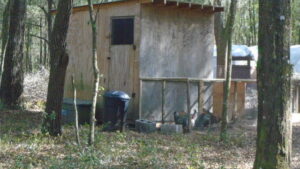 Chicken coop