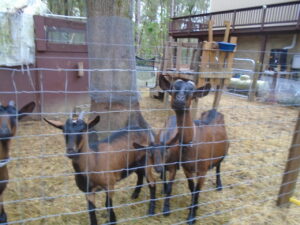 Ms. G with Star and Nostar
